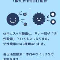 画像361
