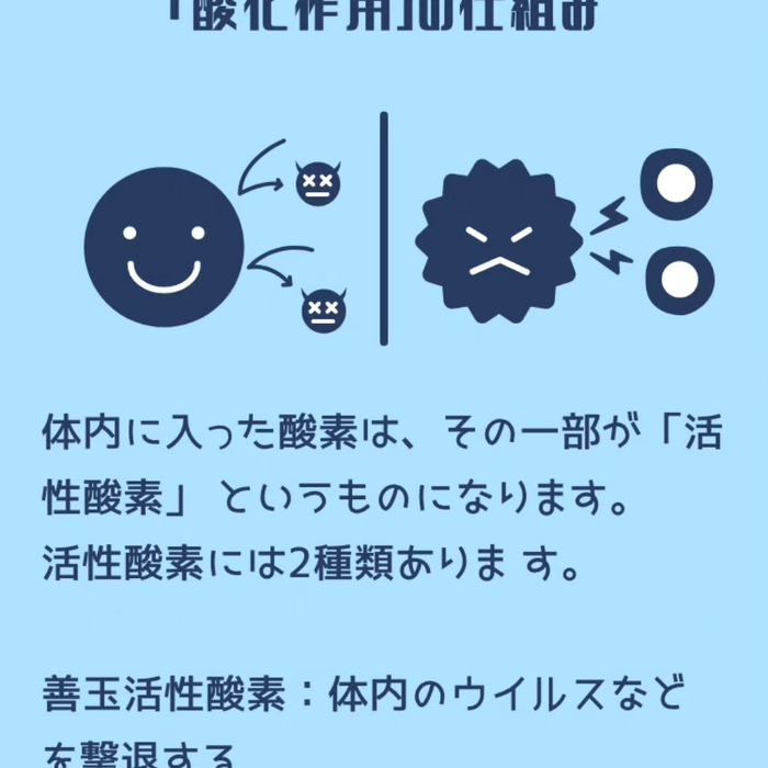 画像361