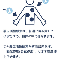 画像362